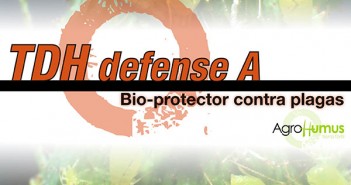 TDH defense A TDH-defense-A