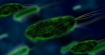 Suelo y micro gigantes: Suelo